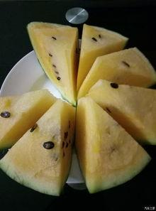 吃瓜论坛有哪些